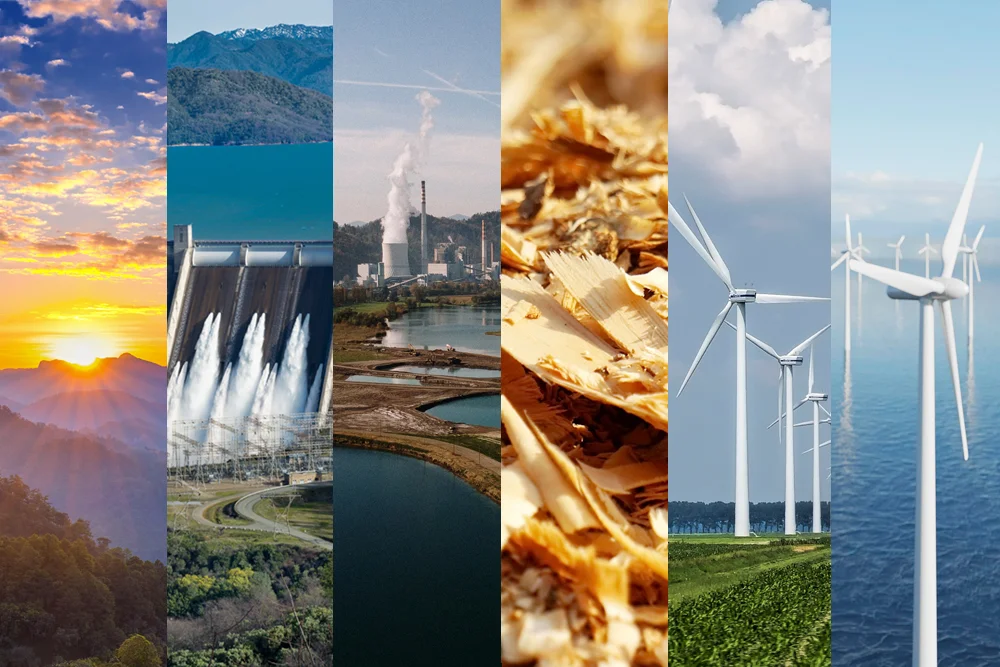 enewable Energy Sources That Will Power the Next Decade